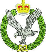 Army Air corp Sweatshirts