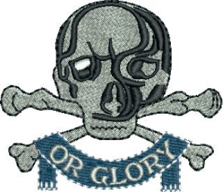 queens Royal hussars