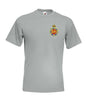 blues and royal  T-Shirt