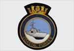 Coastal Force Bullion Wire Blazer Badge