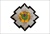 Scots Guards Bullion Wire Blazer Badge